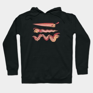 Oarfish Evolution Hoodie